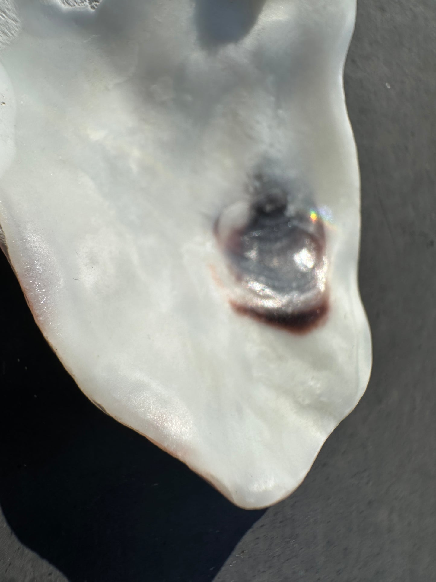 Valvi necklace - small